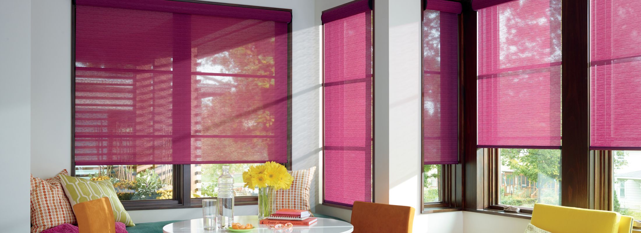 Hunter Douglas Remembrance Roller Shade with Toile Collection Fabric 